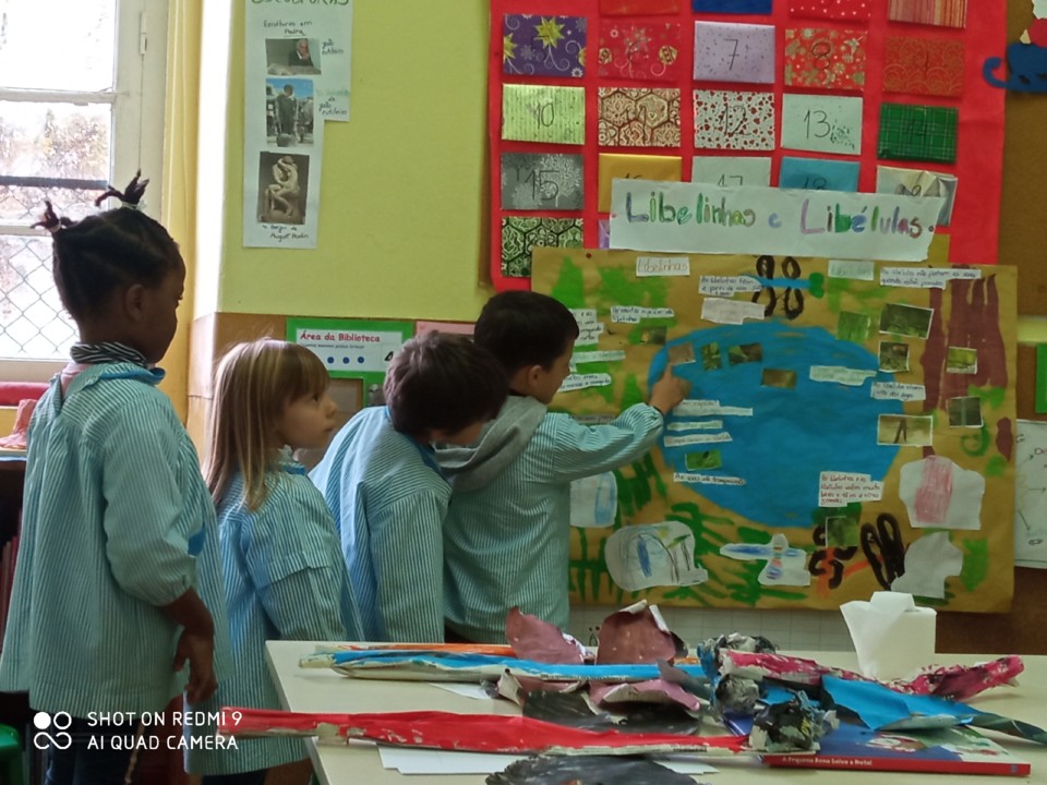 IMG_20201204_141553.jpg IMG_20201204_141553.jpg