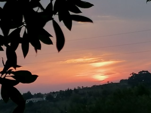 119435388_404381780547579_6759262003962614514_n.jp 119435388_404381780547579_6759262003962614514_n.jp