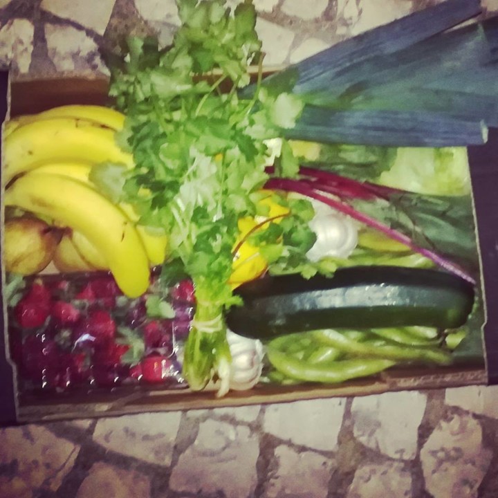 56119910_1335626959910395_6463125095496810496_n.jp 56119910_1335626959910395_6463125095496810496_n.jp