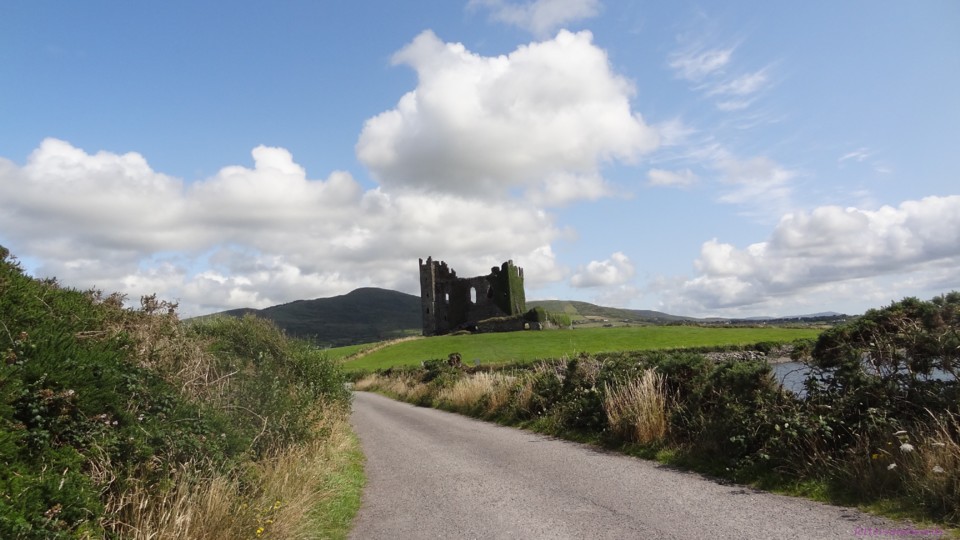 DSC07089.JPG DSC07089.JPG