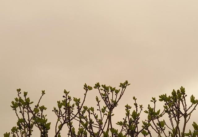 20220316_090534cópia - Cópia.jpg