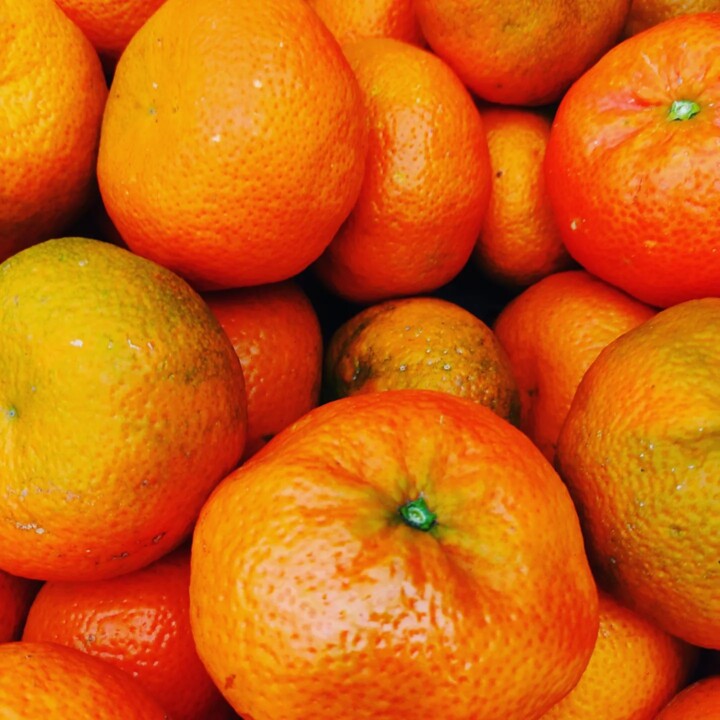 327060616_1695566830920190_7989269786004836512_n.j