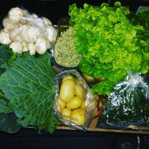 51098878_1292821394190952_2678619541709258752_n.jp