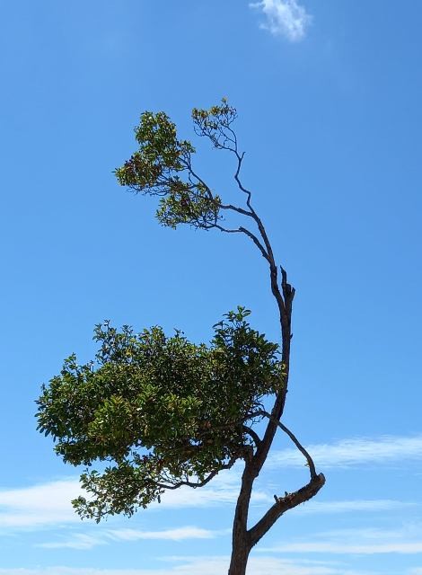 240497080_4227806560667950_2856996186591923250_n.j