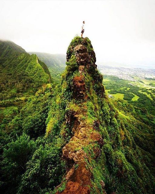 12742000_10203964064541553_2266732614856878666_n.j