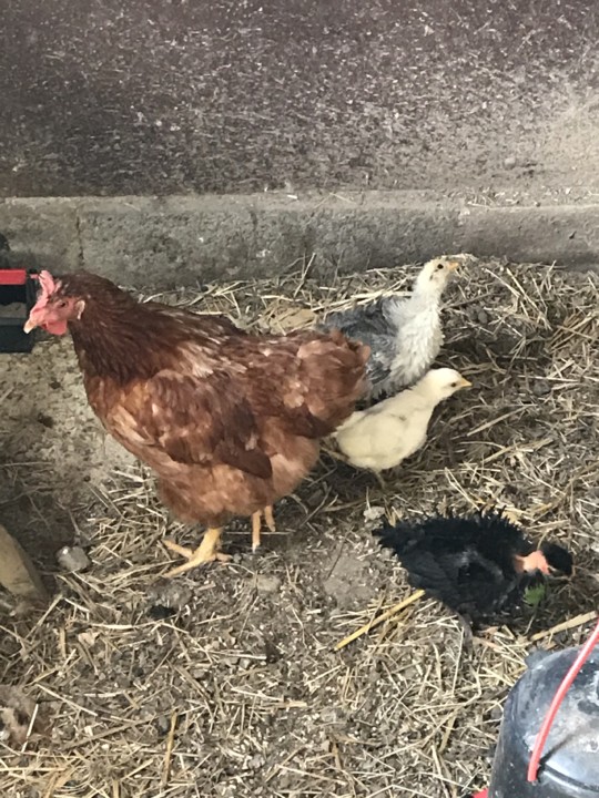 IMG_7368.jpg IMG_7368.jpg