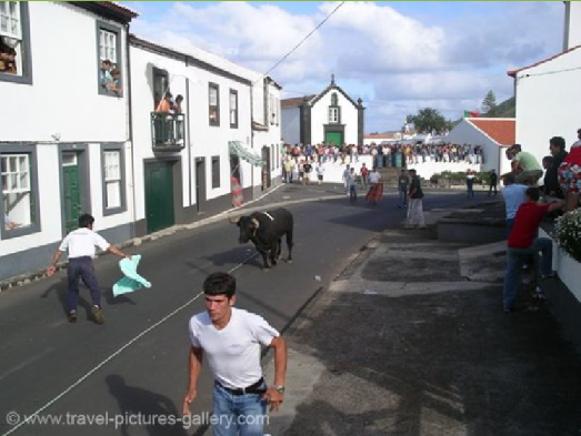 Tourada à corda.PNG