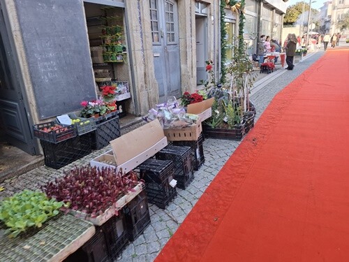 13a_Caminhada_Matinal (76).jpg