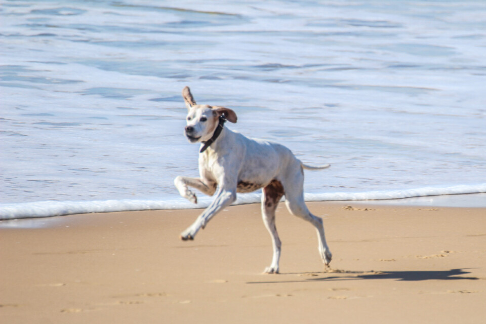 capitulo perfeito 24.jpg