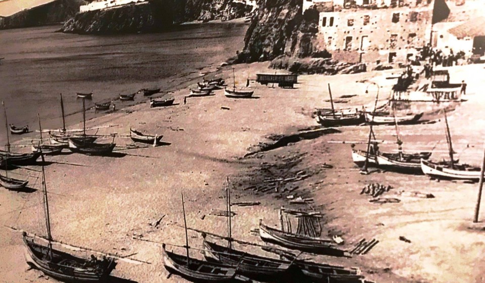 264115282_6502194643184962_4929118830196598957_n.j