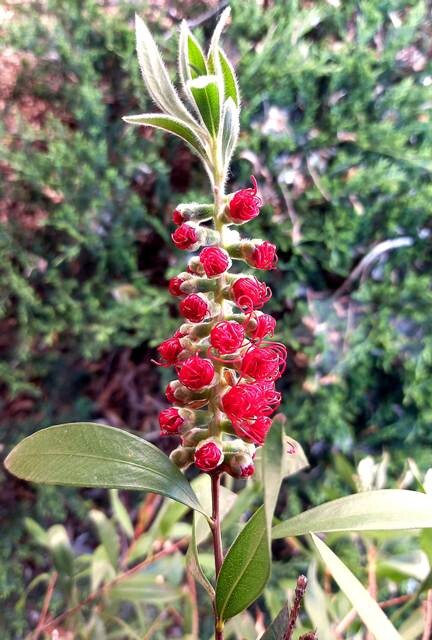 339730902_3550050568557272_6647187059256247081_n.j