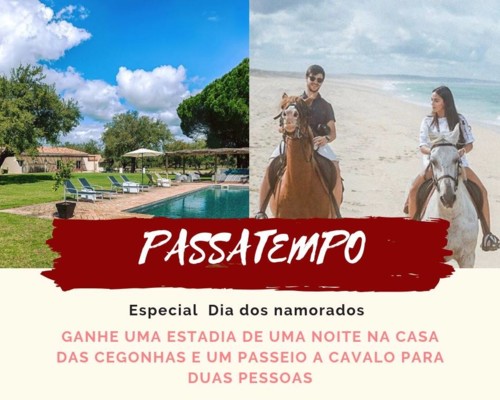 51823999_2062188563865532_2032326585427689472_n.jp 51823999_2062188563865532_2032326585427689472_n.jp