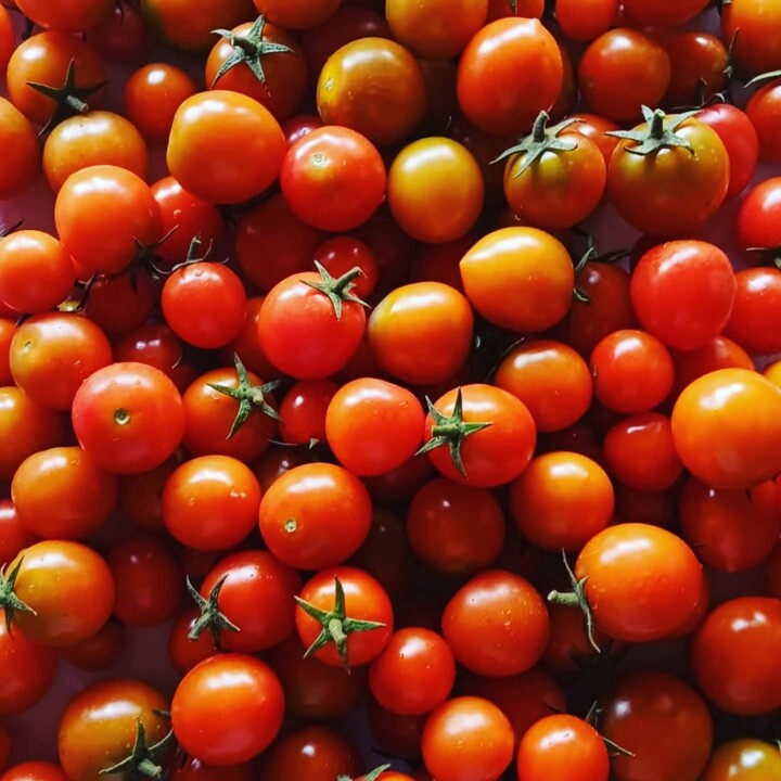 531050321_18493885813066958_8851574170550896375_n.