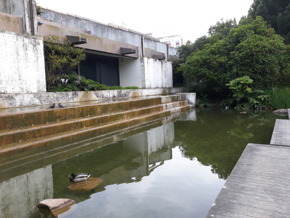 20200506_192508.jpg 20200506_192508.jpg