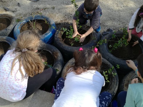 IMG_20180321_152438.jpg IMG_20180321_152438.jpg