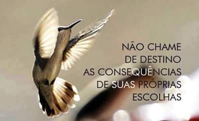 FB_IMG_1465052682545.jpg FB_IMG_1465052682545.jpg