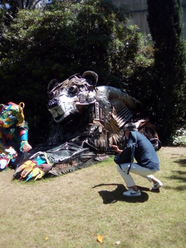 31959641_1411680678978746_4195090331202486272_n.jp