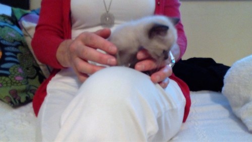 IMG_20160916_174009.jpg IMG_20160916_174009.jpg