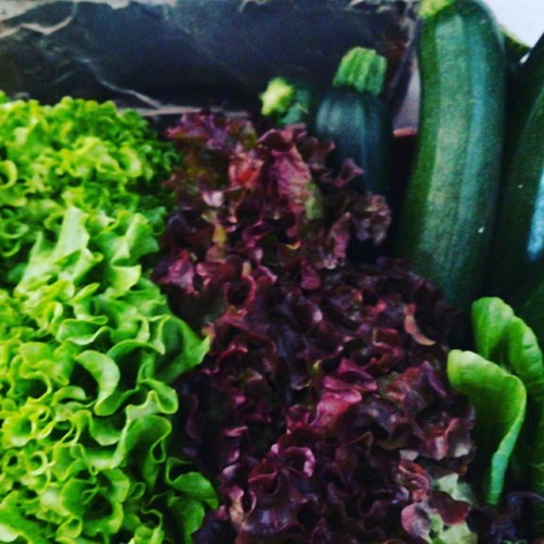 28276936_1046954068777687_682099728521279571_n.jpg 28276936_1046954068777687_682099728521279571_n.jpg