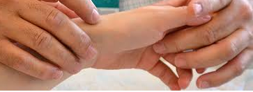 Sem Título.png Sem Título.png