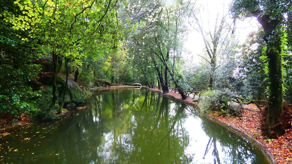 124119448_10218781114974062_2801741977692563670_o.