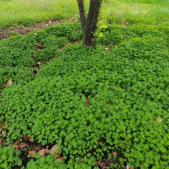 316536711_2477823745690705_2008371364134352319_n.j