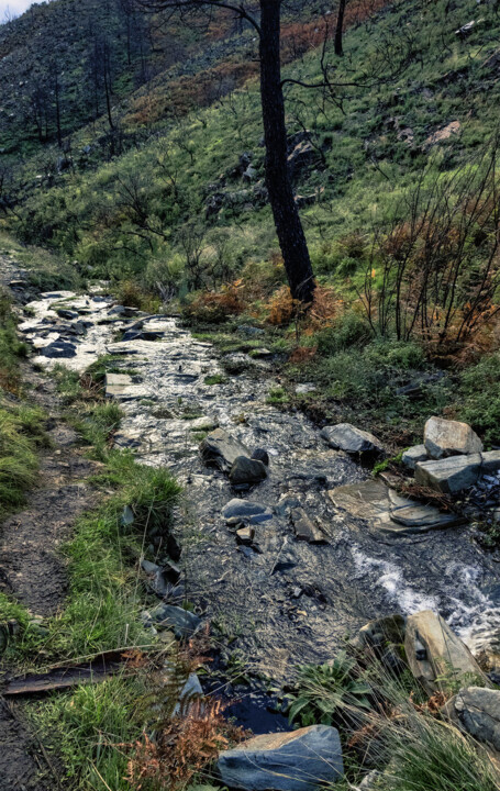 Serra da Estrela riacho.jpg