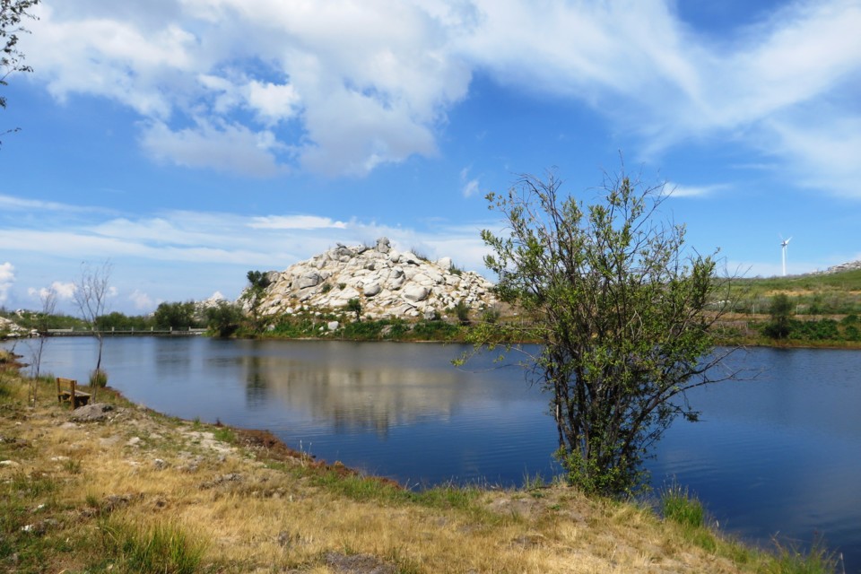 IMG_3397.JPG IMG_3397.JPG