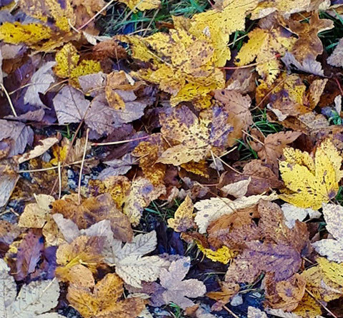 OKVibration 216 .jpg