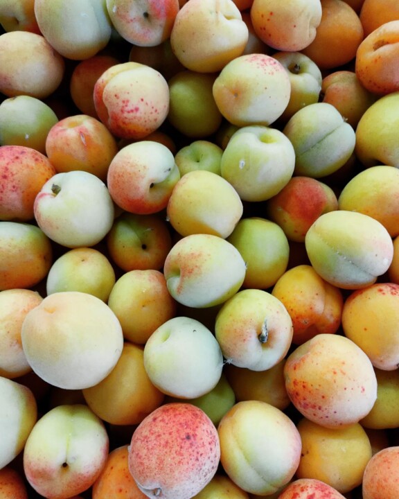 349379233_3585348888366363_2828041865988583981_n.j