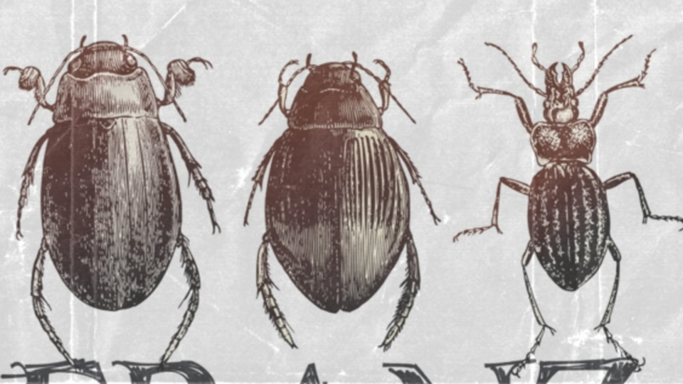 Cópia de Design sem nome (10).png