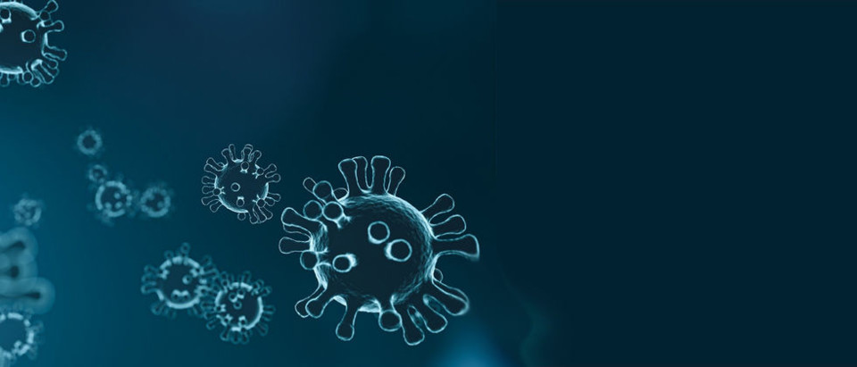 coronavirus_banner_0.jpg coronavirus_banner_0.jpg
