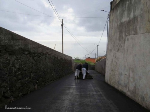 WaterMark_2017-12-06-23-07-34.jpeg WaterMark_2017-12-06-23-07-34.jpeg