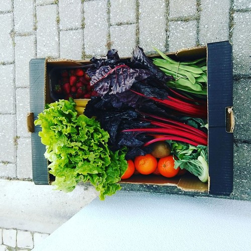 17795762_876174199189009_6208339919186197553_n.jpg 17795762_876174199189009_6208339919186197553_n.jpg