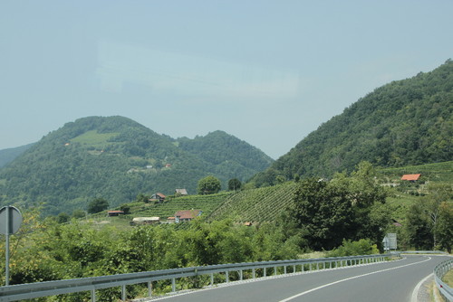 IMG_0493.JPG