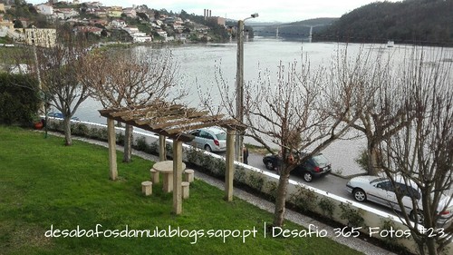 IMG_20160124_160607.jpg IMG_20160124_160607.jpg