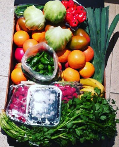 33312918_1101360823337011_5881463837877600256_n.jp 33312918_1101360823337011_5881463837877600256_n.jp