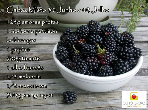 Cabaz Misto 30_06a03_07.jpg