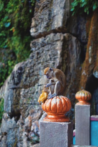 29468990_10216030059254363_4938161334593257472_n.j