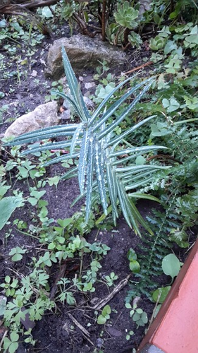 download.png download.png