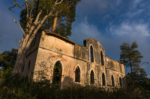 DSC08883.jpg DSC08883.jpg