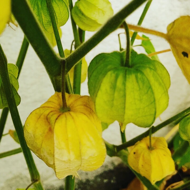 346645848_626551279041518_2606579210425689774_n.jp