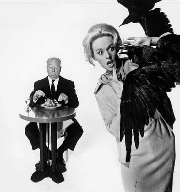 420034793_708542077922205_1886203458743630993_n.jp