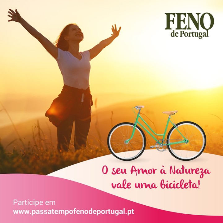 65681152_2503908332988102_2898028031924764672_n.jp 65681152_2503908332988102_2898028031924764672_n.jp