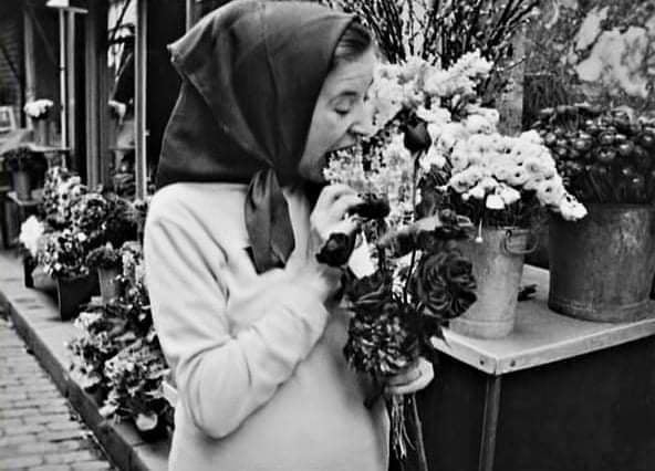 161595026_281836636847808_8613174879793478468_n.jp