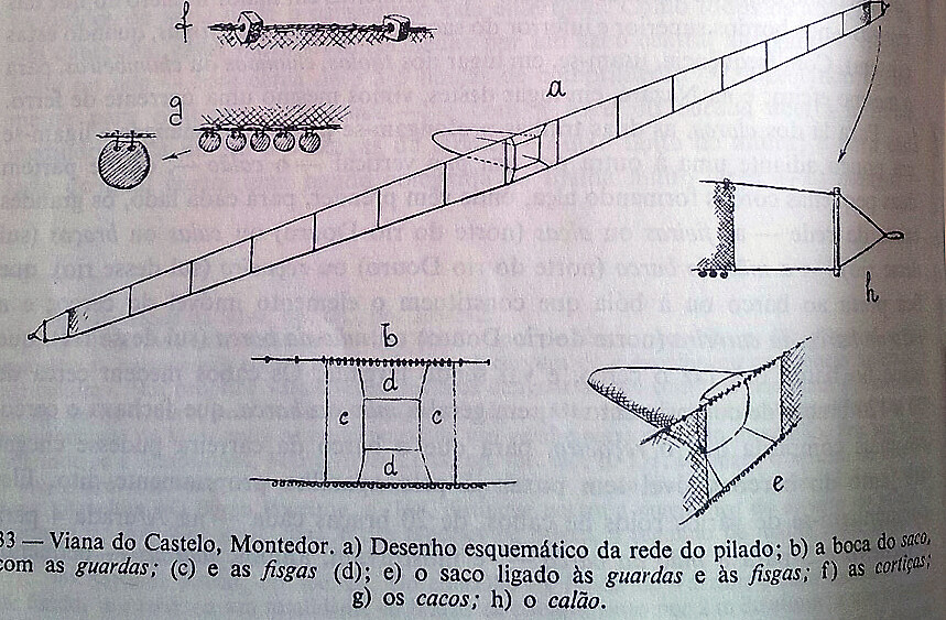 47A - Grav Fernando Galhano - Rede do patelo.jpg
