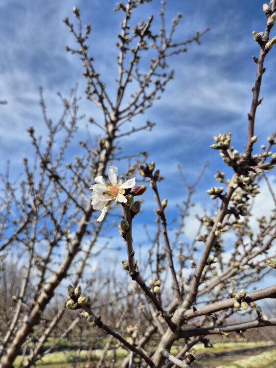 Imagem WhatsApp 2025-02-18 às 19.02.33_c40222e8.j