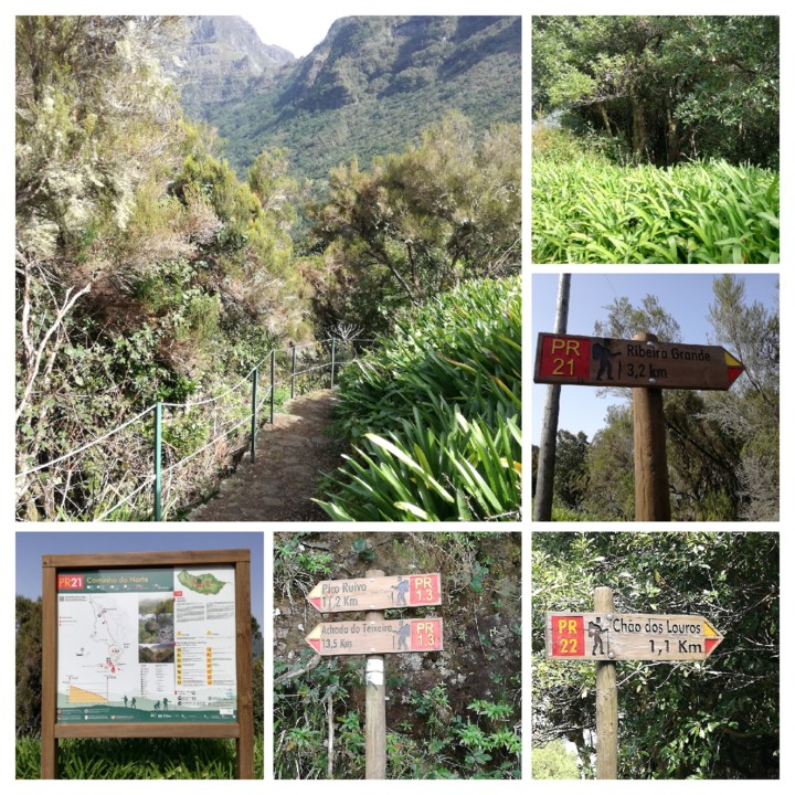 IMG_20200225_150519-COLLAGE.jpg IMG_20200225_150519-COLLAGE.jpg