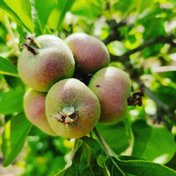 282876224_2314968208642927_3293298029980217595_n.j