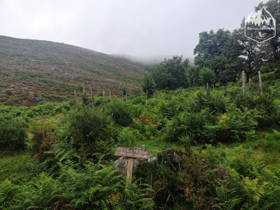 Photo_1597132095643.jpg Photo_1597132095643.jpg